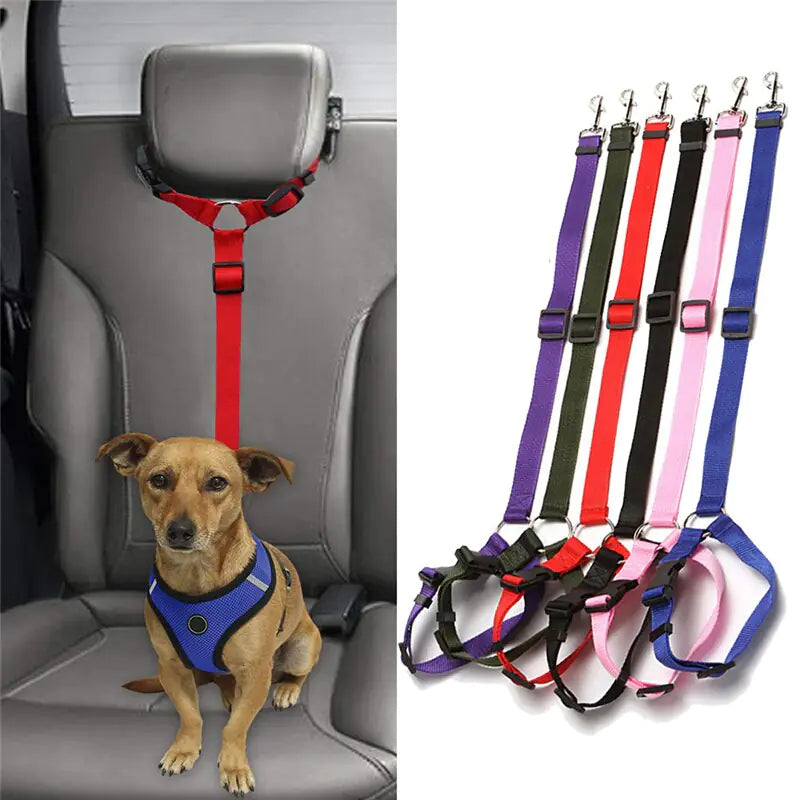 Ceintures de sécurité en nylon pour chiens