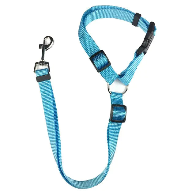Ceintures de sécurité en nylon pour chiens
