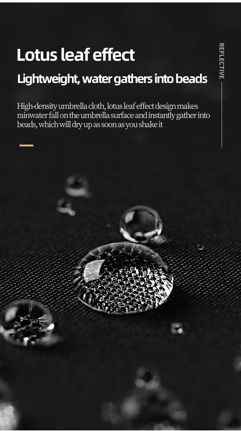 Renault Sunshade: Auto Reflective Folding Umbrella