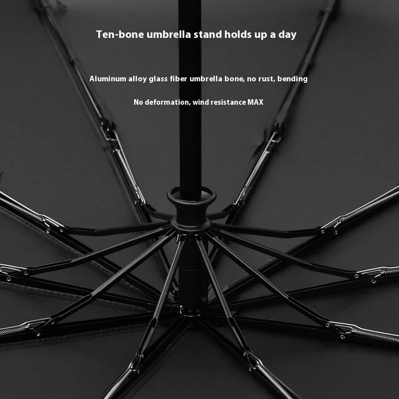 Parasol para coche Mercedes-Benz | Resistente al viento y plegable