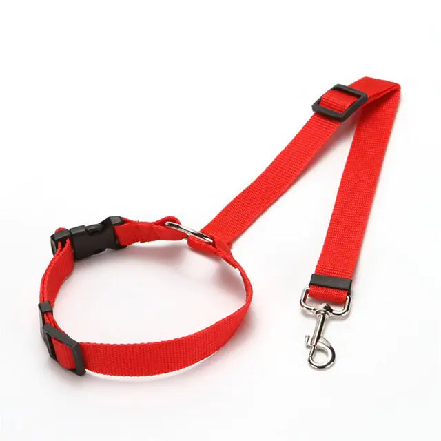 Ceintures de sécurité en nylon pour chiens
