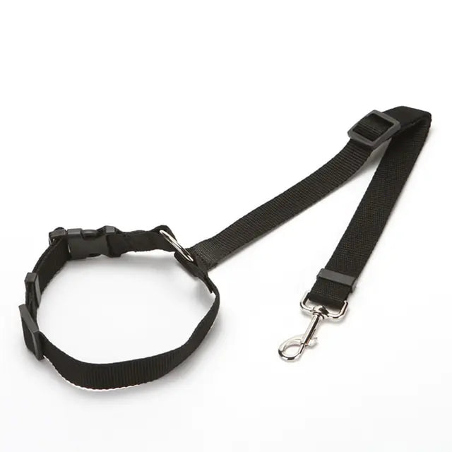 Ceintures de sécurité en nylon pour chiens