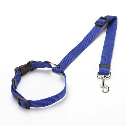 Ceintures de sécurité en nylon pour chiens