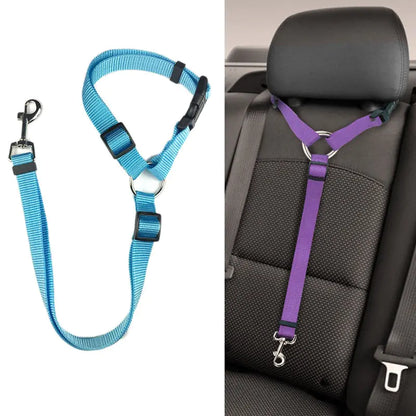 Ceintures de sécurité en nylon pour chiens