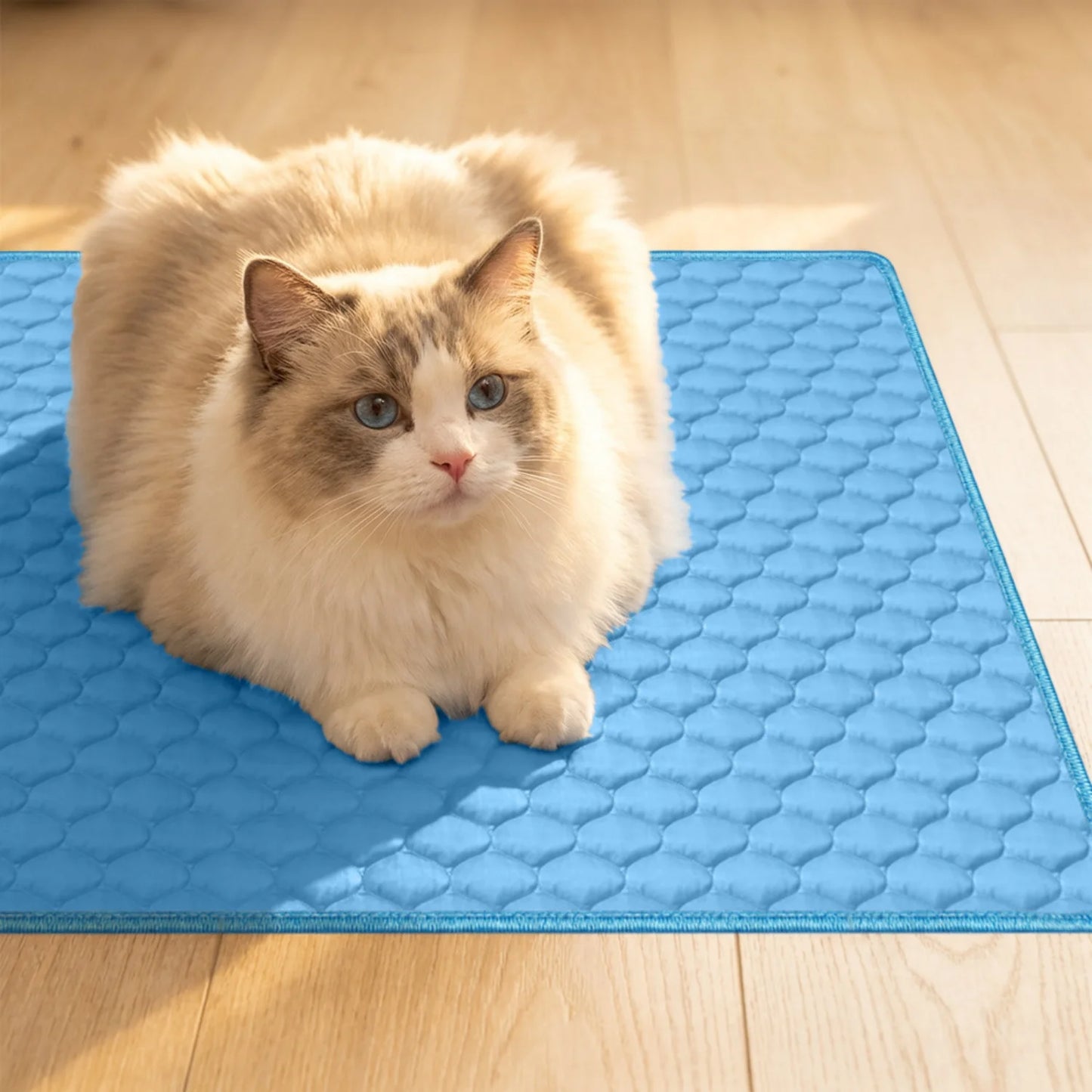 Premium Ice Silk Pet Cooling Mat – Washable & Durable Pad – Car Accessories | MotorWorld Marketplace