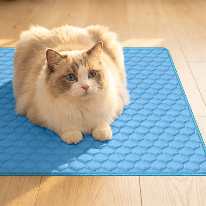 Premium Ice Silk Pet Cooling Mat – Washable & Durable Pad – Car Accessories | MotorWorld Marketplace