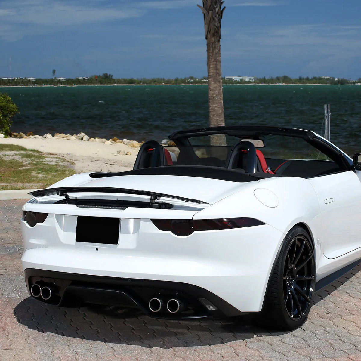 Jaguar F-TYPE SVR 2013-24 ABS Smoked Taillight Cover – Car Accessories | MotorWorld Marketplace