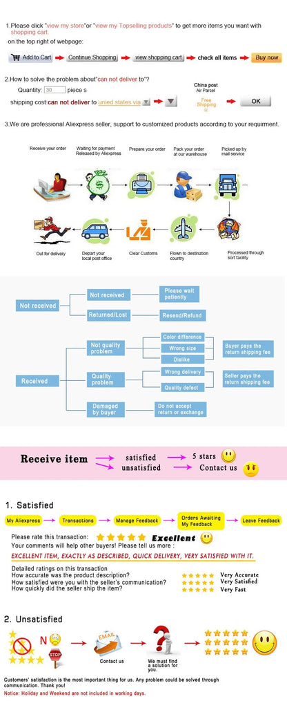 2D Capybara Motorcycle Ornament – Auto & Home Xmas Decor