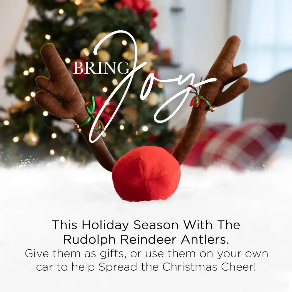 Christmas Car Antlers Kit w/ Red Nose & Tail – Festive Upgrade