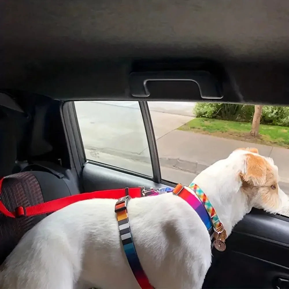 Adjustable Pet Car Seat Belt Headrest Restraint – Safe Travel – Car Accessories | MotorWorld Marketplace