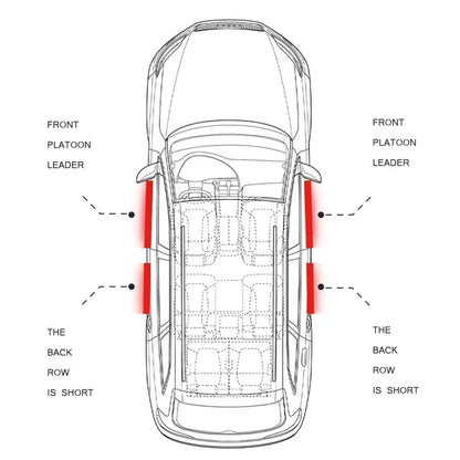 Protection de seuil de porte en fibre de carbone pour Ford F150 2023