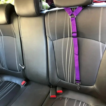 Adjustable Pet Car Seat Belt Headrest Restraint – Safe Travel – Car Accessories | MotorWorld Marketplace
