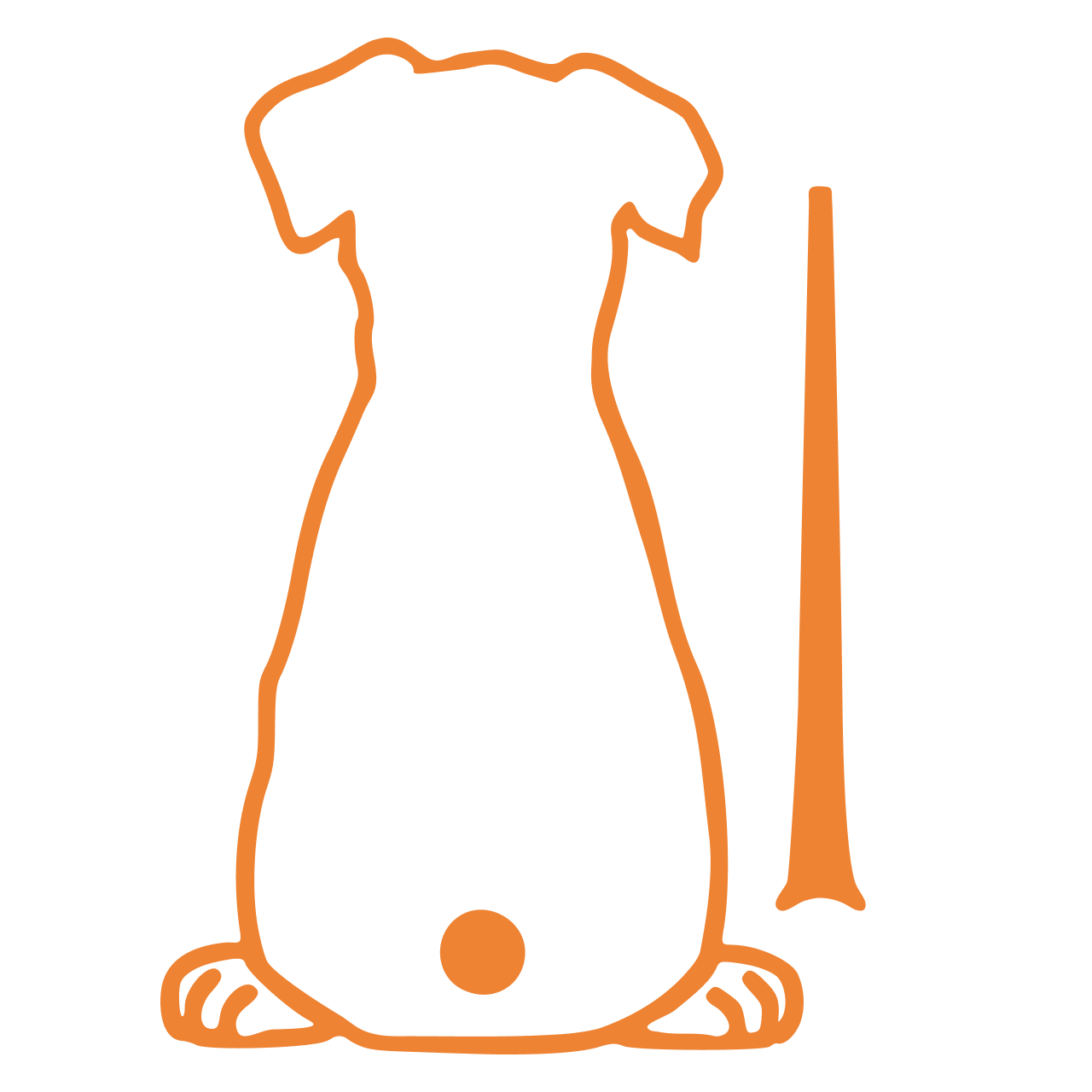 Cute Dog Wiggling Tail Rear Wiper Decal – Waterproof Vinyl orange 17X12cm – Car Accessories | MotorWorld Marketplace