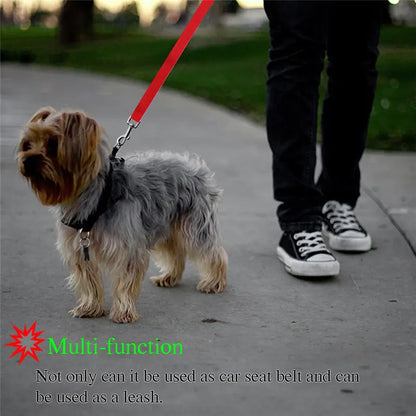 Ceintures de sécurité en nylon pour chiens