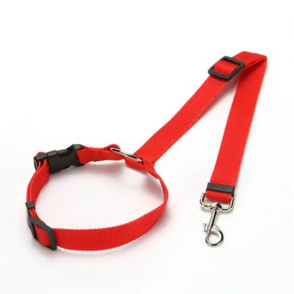 Ceintures de sécurité en nylon pour chiens