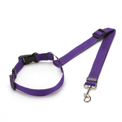 Ceintures de sécurité en nylon pour chiens